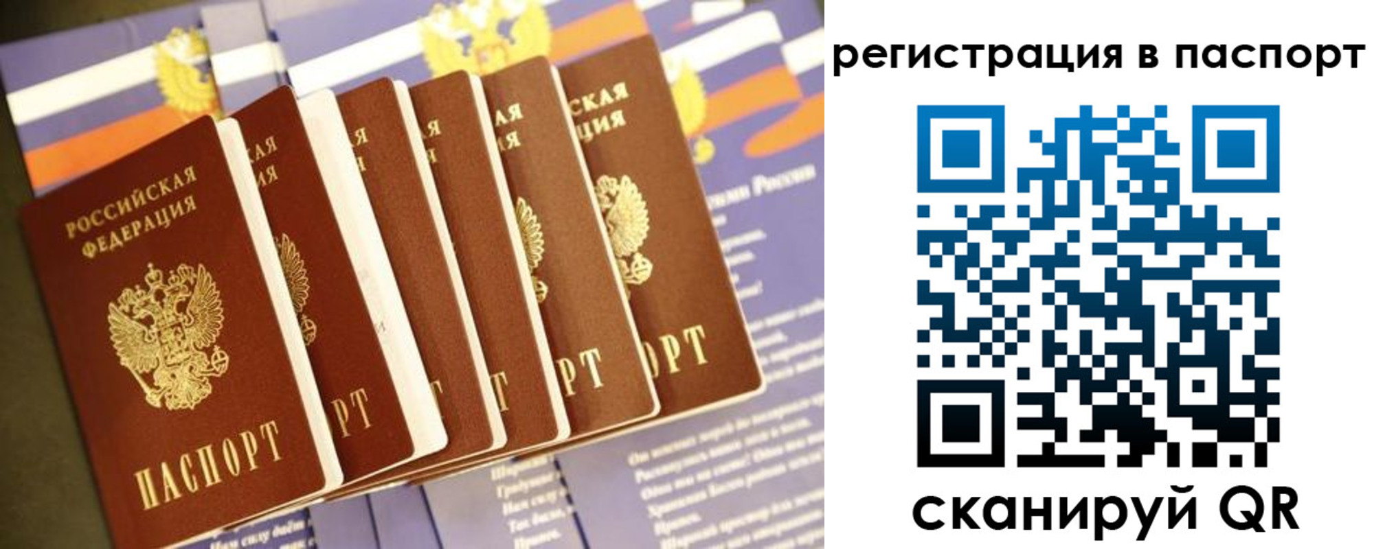 прописка ребенка в Покрове